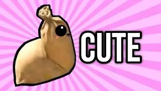 CUTEST PROP - MWR Prop Hunt