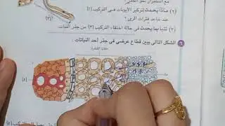 حل الأسئلة المقالية درس التغذية الذاتية كتاب الإمتحان ٢٠٢١