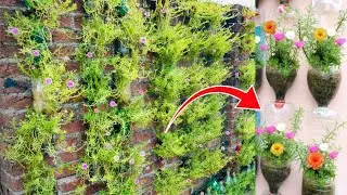 Amazing Vertical Garden Using Plastic Bottles, Portulaca (Moss Rose) Garden on Wall!