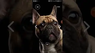 Part 2 Speak to the Manager game app