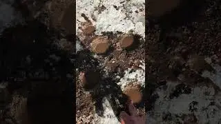 We found a sign carved on the rock