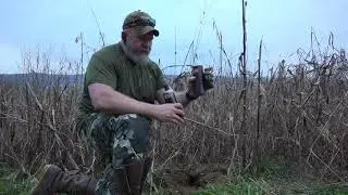 Coyote Claymore 2, trapping coyotes, bobcats plus save money on lure
