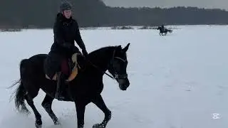 ZIMOWY TEREN 🫣🐎