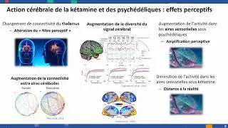 JNPN 2024 - Psychédéliques : la plasticité dans tous ses états (2/3)