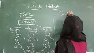 Ensemble Methods