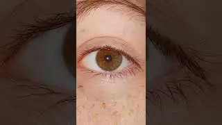 Hazel? Amber? #eyes #eyecolour