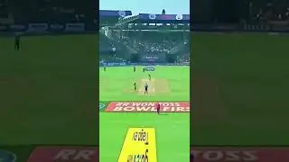 Virat kohli bowling or batting 🤔 #cricket #viratkohli #ipl2025 #virat18