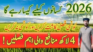 Best Crops to Grow in 2026 | High Profit Farming Crops in Pakistan | Crops to Avoid