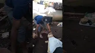 Acara penyembeliha,hewan aqikah,hapics Noval ,bin BPK Indra Rt 01/08 PS salam ,ngamprah