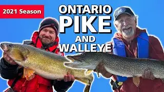 Walleye & Northern Pike: Ontario's One-Two Punch
