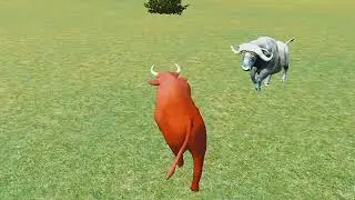 Angry Bull simulator fight with other animals||Amazing Reiojok 566M Views Deroq Xerop 900M