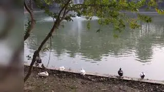 Happening at Nature Study Park