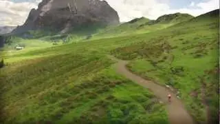 2011 - Highlights 