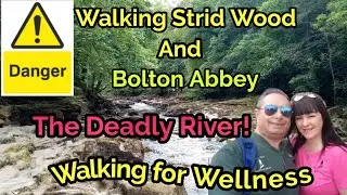 Walking Strid Wood and Bolton Abbey  #yorkshirewalks #walkingforwellness#stridriver #boltonabbey