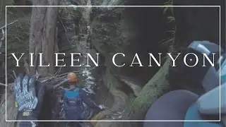Blue Mountains Abseiling | Yileen Canyon