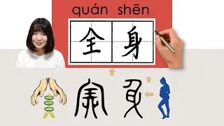 【NEW HSK4】/HSK4/全身//quanshen_(whole body)How to Pronounce & Write Chinese Word & Character #newhsk2