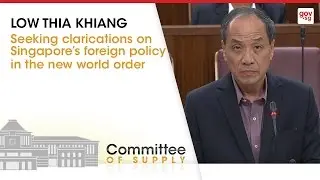 Singapore's Foreign Policy in a Changing World Order
