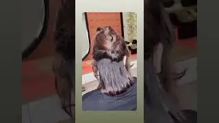 trending Korean hair cut 2 in 1 #hairstyle #shotrs #youtubeshorts #viralvideo #shotrs