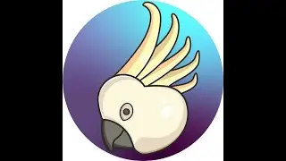 Google camera Parrot043