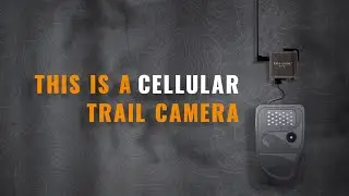 The New CELL-LINK from SPYPOINT - :15 Sec Commercial