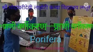 poriphera