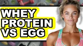 Whey Protein vs Egg - Full Comparison