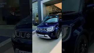 Ignis Alpha||delivery moments||Sai service||Nexa