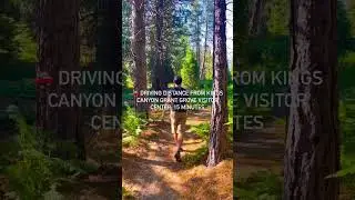 Dog friendly around Kings Canyon and Sequoia National Park!