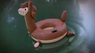 Swim Ring Alpaca (Pooltoy transformation)