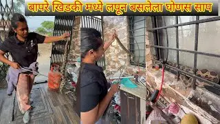 😱😳बापरे बाप खिडकीमध्ये लपून बसलेला विषारी जातीचा घोणस साप🐍😱#omg #snake #windows #parking 