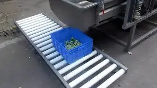 Clean vegetables processing machine line
