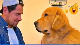 Funniest Cats & Dogs of 2026 🐾😸 | Try Not To Laugh Challenge! 💟 #funnycatsdogs