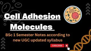 Cell Adhesion Molecules Notes: Part 1 | B.Sc First Semester Notes | #PGT #MSC #TGT #UPHESC2022
