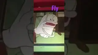 Q taro vs bee
