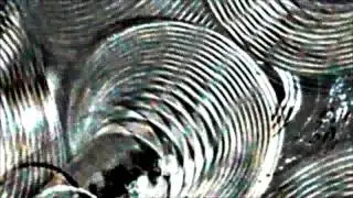 NEXT40 Dan Grain - Nucleus