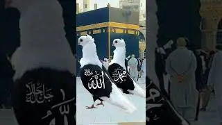 Man# ka saya# jiske sar per mashallah# hamari# Jannat# Jaisi Man Ko#🕋🕌☝🏻🤲🏻🤲😭