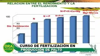 Curso de Fertilización en Producción de Palto 🥑🌱