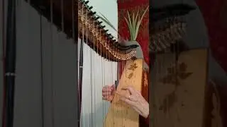 Laurie Riley : Double strung harp -  setting levers for chromatic playing