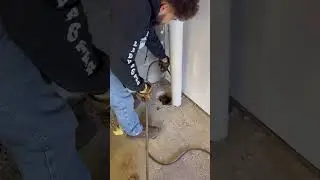 How to snake line! #cloggeddrain #plumbing #rooter