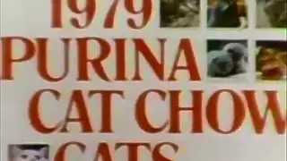 Purina Cat Chow Calendar Cats 1978 TV Commercial HD