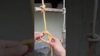 How to Tie Knot DIY at Home, Rope Trick You Should Know #Tutorial #Rope #Knot #Shorts