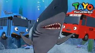 Blue Shark Song l Animal Songs for Kids l Kids Songs l Learn Sea Animals with Tayo the Little Bus