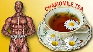 Chamomile Tea Benefits for Health Proved by Science