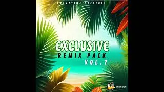 EXCLUSIVE REMIXES PACK VOL 7 90S TO 2001 RIDDIMS [DANCEHALL]