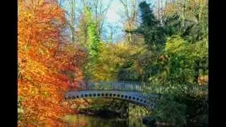 Linn Park, Glasgow, Scotland