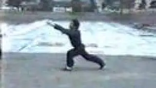 長拳螳螂拳 Praying Mantis: Beng Bo - Crushing Step 崩歩