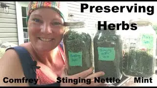 How to preserve herbs - Stinging Nettle, Comfrey, Mint