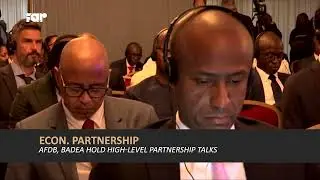 AfDB, BADEA Chiefs Hold High Level Talks on Partnerships