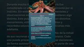 Inteligencia sin un centro &uacute;nico  Octopus vulgaris