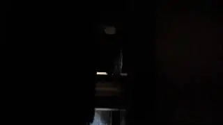 Reeflo noise